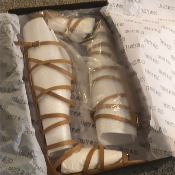 Colin Stuart gladiator - Picture 3 of 5